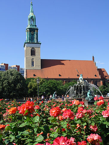 Fotos Marienkirche