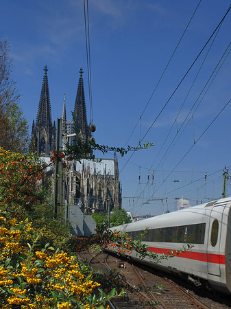 Kölner Dom mit ICE Foto 