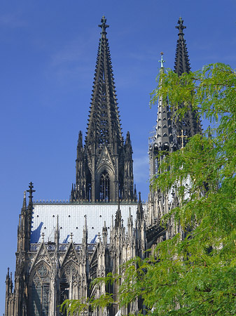 Türme des Kölner Doms Foto 