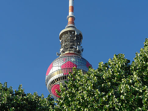 Fotos Fernsehturm und Bäume