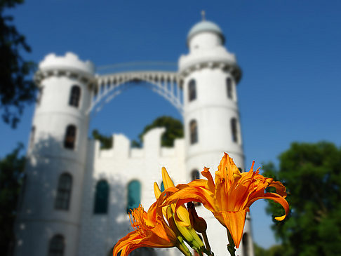 Fotos Blumen auf der Pfaueninsel