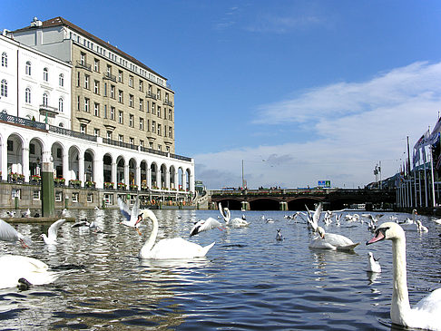 Fotos Alster Arkaden | Hamburg