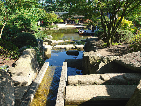 Foto Planten un Blomen - Japanischer Garten