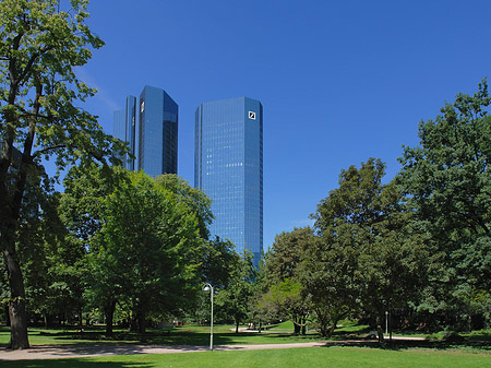 Deutsche Bank mit Wald