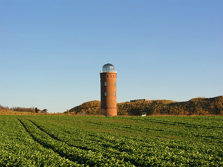 Fotos Turm aus der Ferne | 