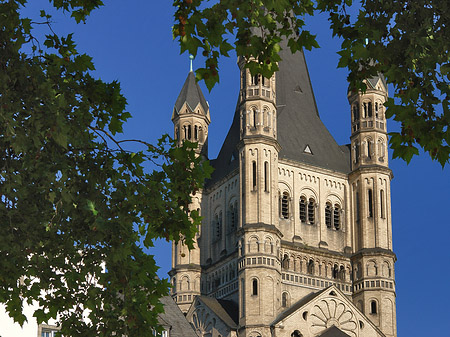 Foto Groß St.Martin hinter Baum - Köln