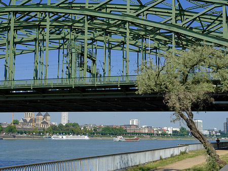 Fotos Hohenzollernbrücke mit Baum