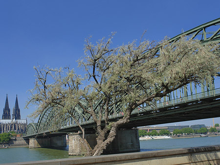 Fotos Hohenzollernbrücke am Kölner Dom