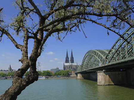 Hohenzollernbrücke am Kölner Dom Fotos