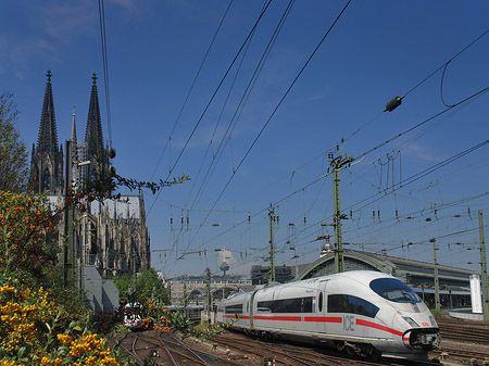 Fotos Kölner Dom mit ICE