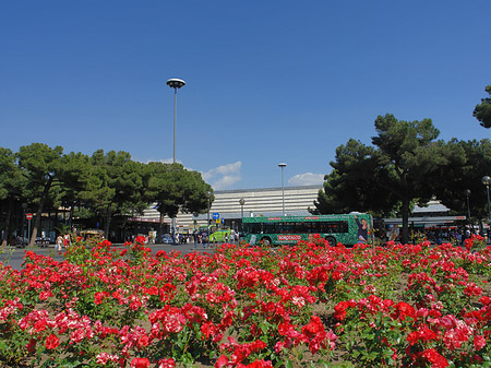 Blumen am Bahnhof