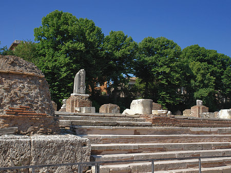 Foto Bäume im Forum Romanum