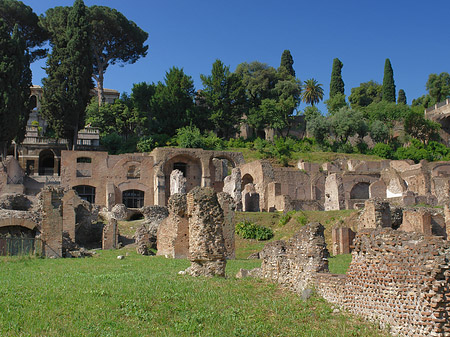 Foto Tempel der Vesta - Rom