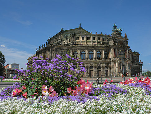 Foto Semperoper mit Blumen