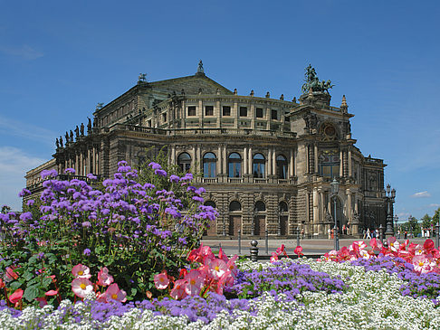 Foto Semperoper mit Blumen