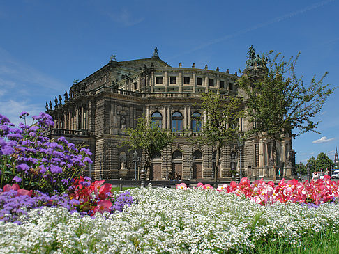 Semperoper mit Blumen Foto 