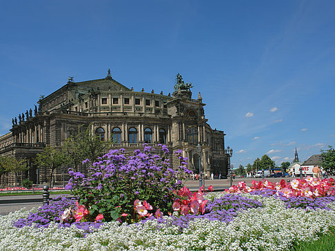 Fotos Semperoper mit Blumen | Dresden