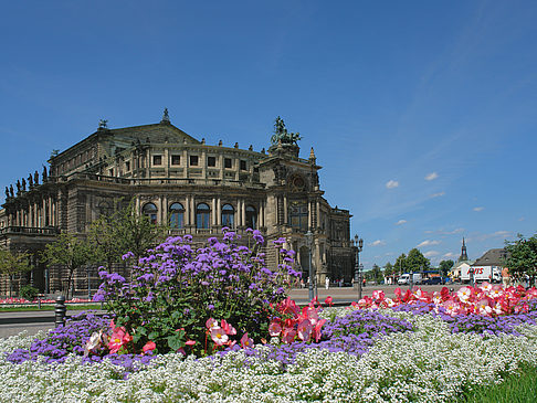 Fotos Semperoper mit Blumen | Dresden